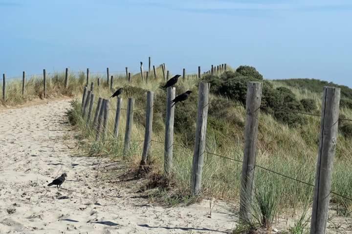 Me Oissie Vila Egmond aan Zee Exterior foto